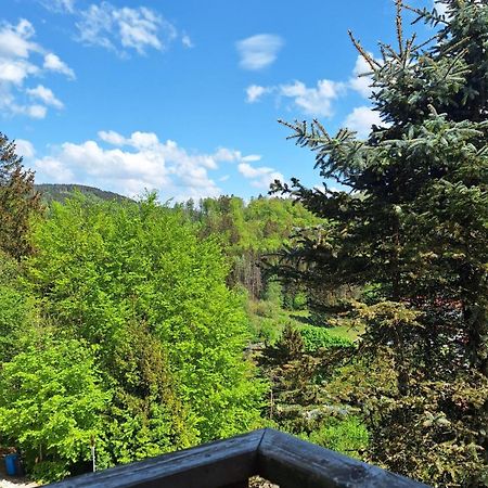 Haus Westharz Goslar Apartment Bad Grund Exterior foto