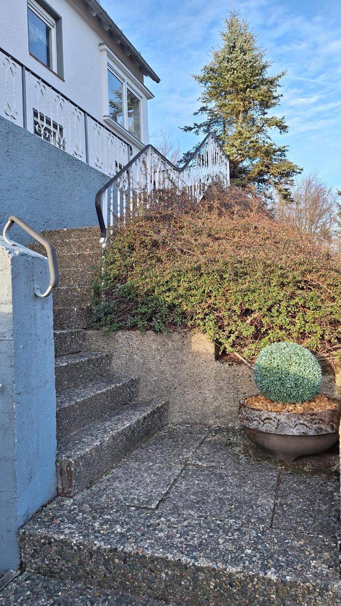 Haus Westharz Goslar Apartment Bad Grund Exterior foto