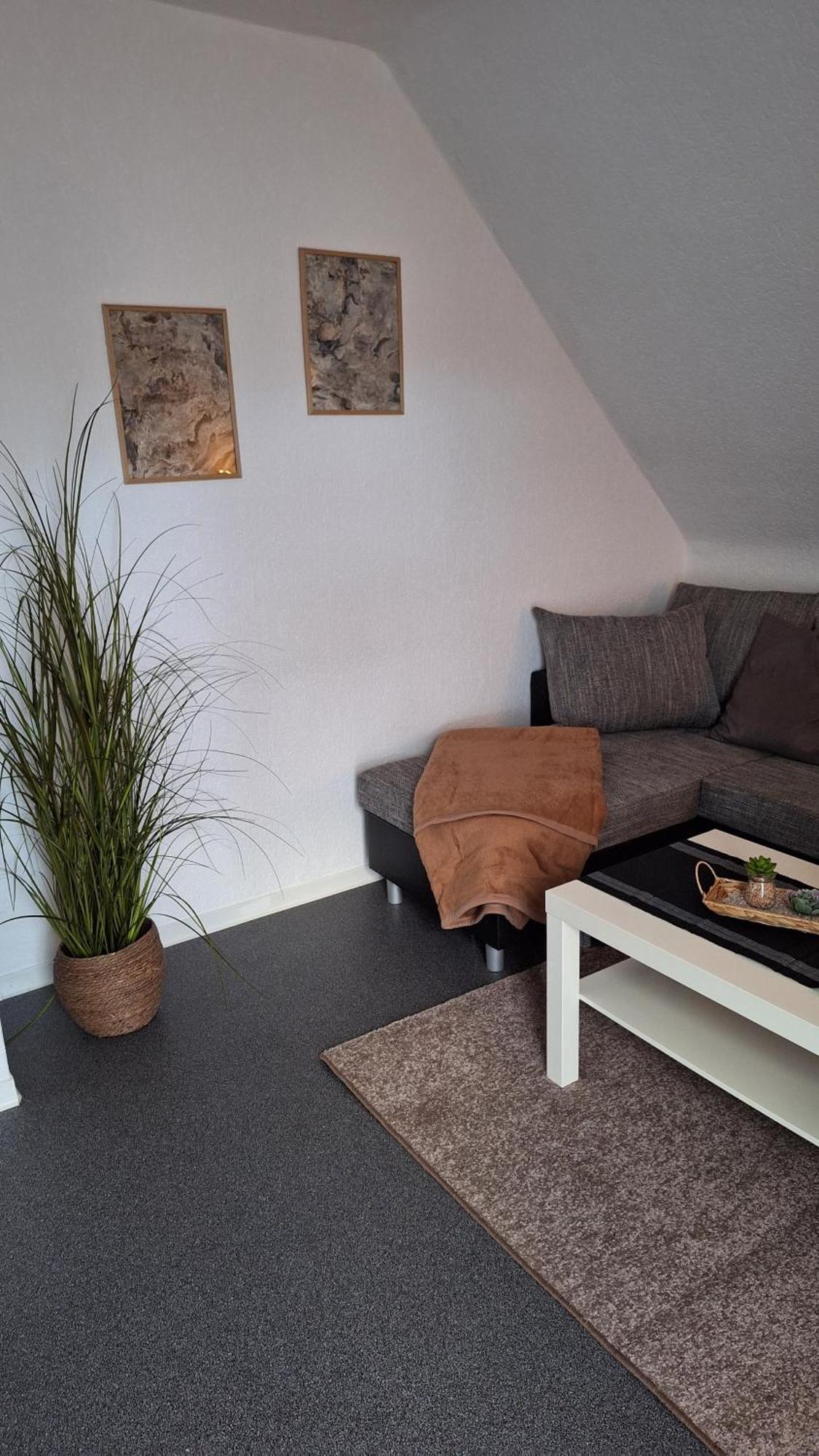 Haus Westharz Goslar Apartment Bad Grund Exterior foto