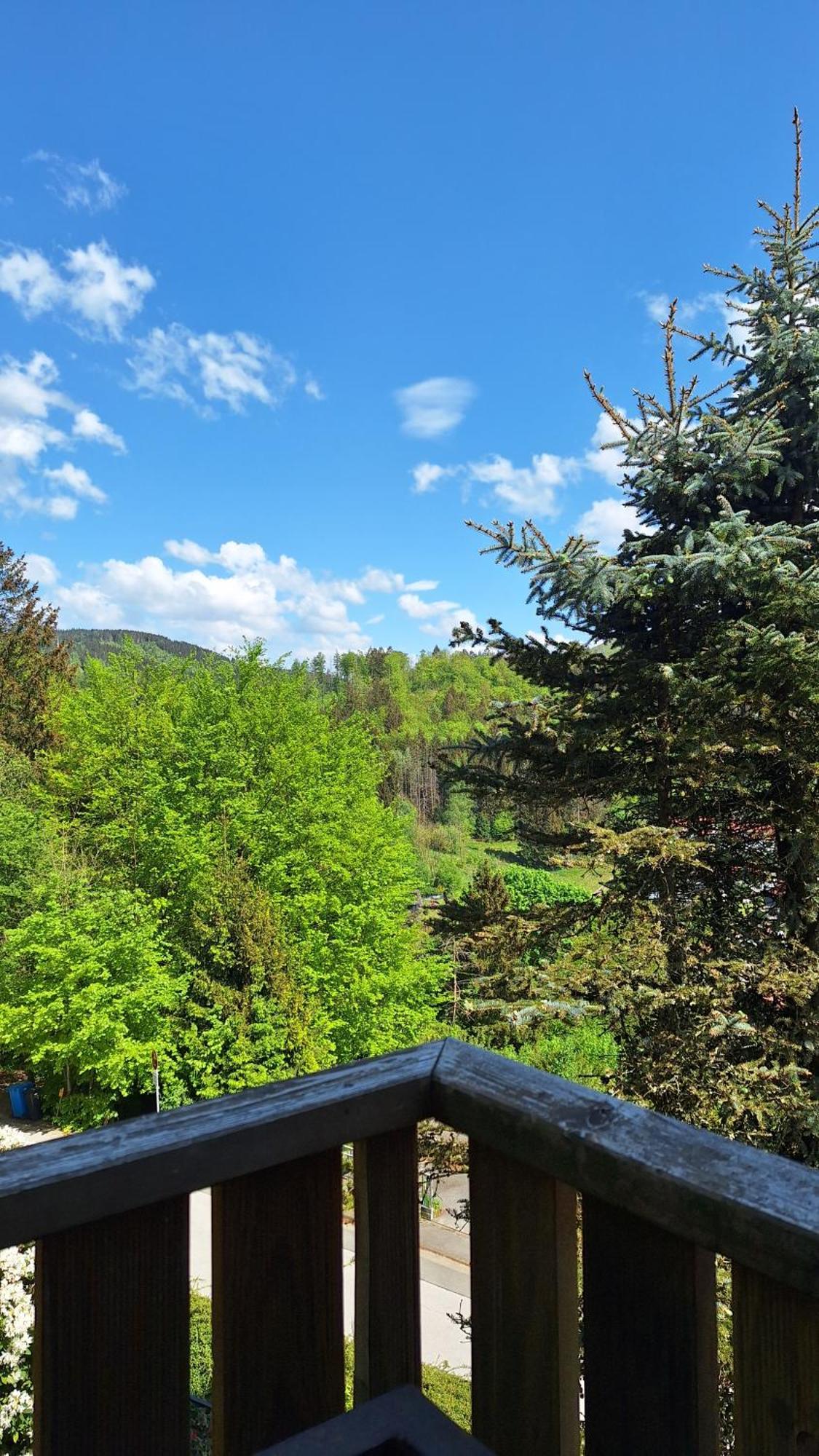 Haus Westharz Goslar Apartment Bad Grund Exterior foto