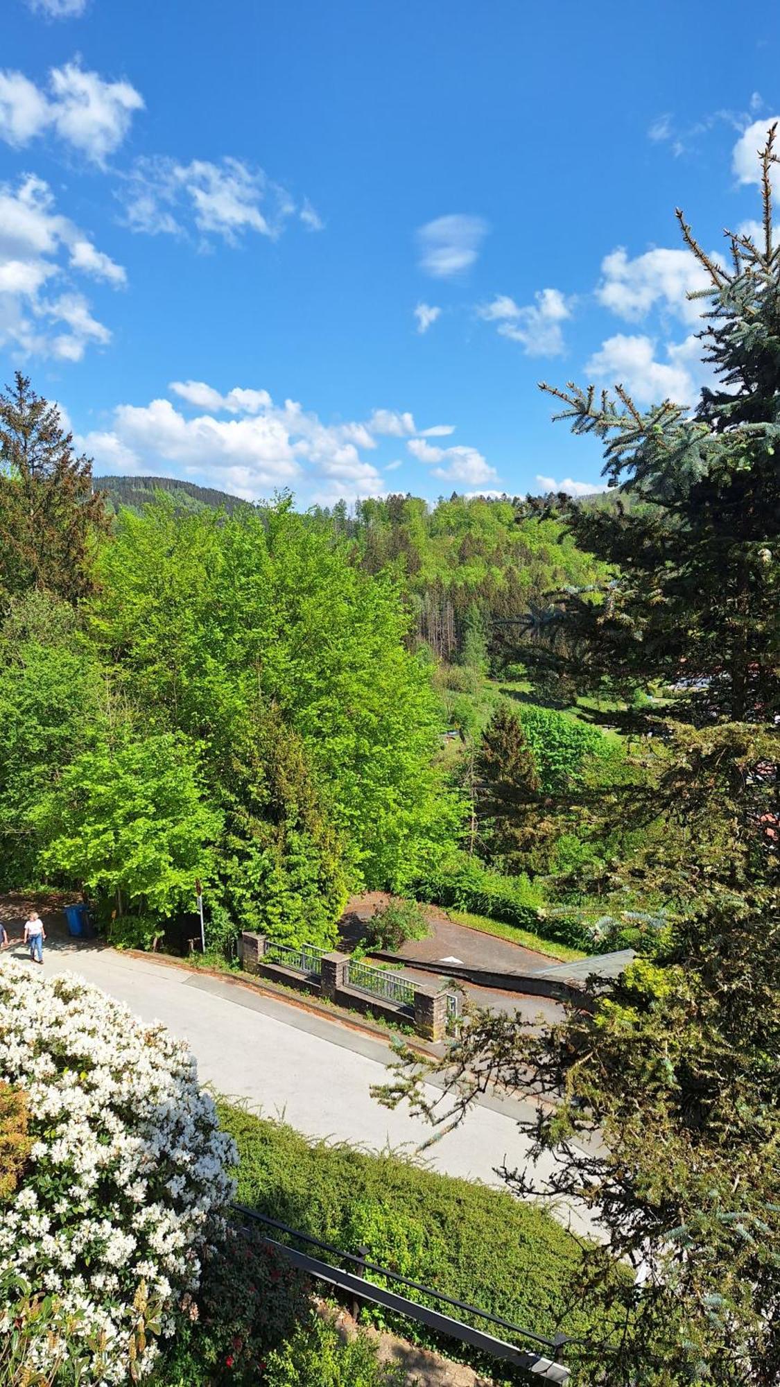 Haus Westharz Goslar Apartment Bad Grund Exterior foto