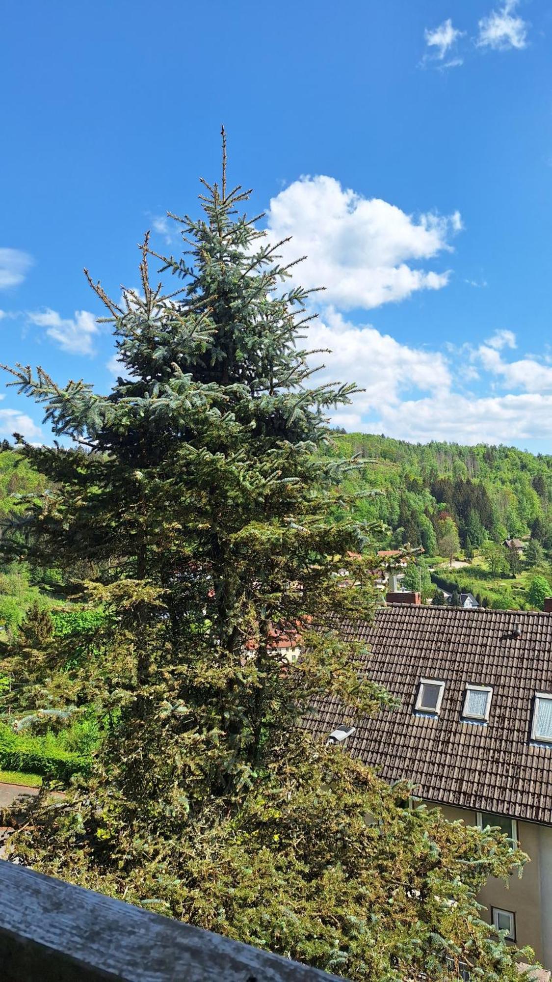 Haus Westharz Goslar Apartment Bad Grund Exterior foto